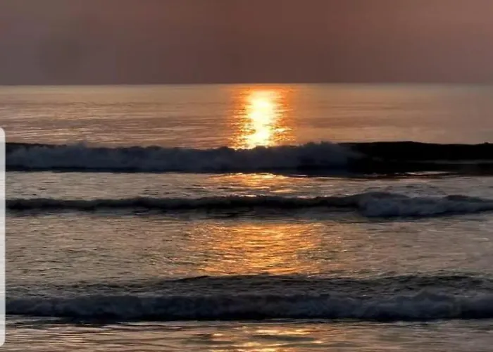 アパート Cozyfina Albatros 6 マルベーリャ