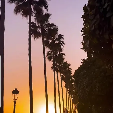 Cozyfina Albatros 6 *